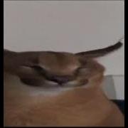 Я Жду Я Жду Шлепа
