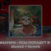 Псы Попадают В Рай Slowed