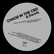 Emotional Intelligence Instrumental Chaos In The Cbd Nathan Haines Dave Koor