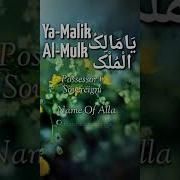 Malikul Mulk