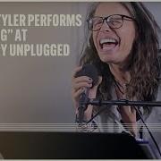 Steven Tyler Amazing Unplugged Aerosmith