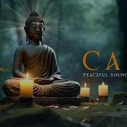 Zen Music Meditation