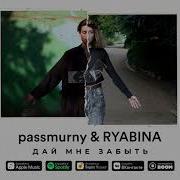 Дай Мне Забыть Passmurny