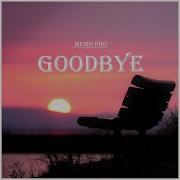 Memo Pro Goodbye