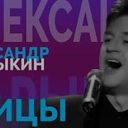 Александр Барыкин Птицы