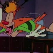 Bonkers Intro