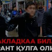 Махсўд Жаллйон Мўскалари