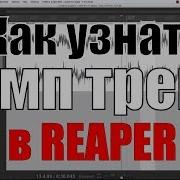 Как Узнать Темп Bpm Трека В Рипере Cockos Reaper