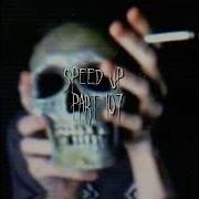 Камень Fleur Speed Up