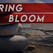 Soundroll Spring Bloom