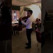 Скрипка В Ресторане