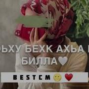 Гуьйренна Де Къагош Сирла Схьа Кхечи Хьо Йина Де