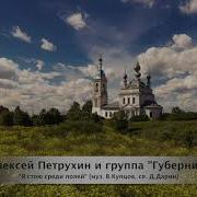 Минус Я Стою Среди Полей