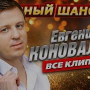 Евгений Коновалов