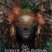 Resonant Migration Feat Deya Dova Liquid Bloom