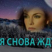 А Я Снова Жду Тепло Тех Рук
