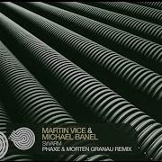 Martin Vice Swarm