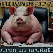 Нулевая Декларация Где Автор Анна Самарчанка