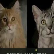 Meow Mix Song 10 Hours