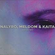 Nalyro Memory