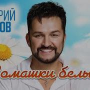 Д Прянов Ромашки Белые