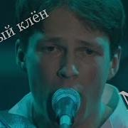 Ноль Старый Клен