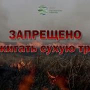 Берегите Лес От Пожара
