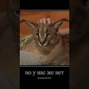 Текст Мама Я Нагрел Полушку