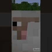 Прикол С Овцой