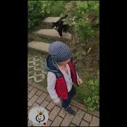 Кошечка Сказала Заебись