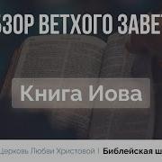 Книга Иова Прокопенко