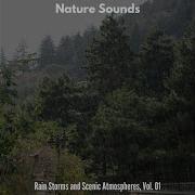 Soft Freezing Rain In Forest Heavy Rain Nature Studio