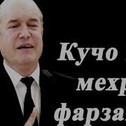 Кучо Шуд Мехри Фарзанди
