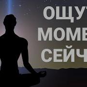Медитация Глубокое Погружение В Момент 30 Минут