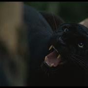 Apocalypto Jaguar Attack Scene