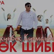 Кок Шиберде Карап Жатып Ак Танды