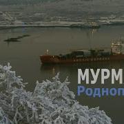 Роднополисы Мурманск