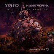 Vertex Testing Our Reality