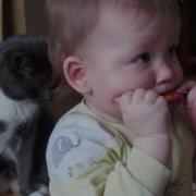 Я Бабуленьку Родную Очень Крепко Поцелую Ведь Бабуленька Моя Очень Очень Добрая