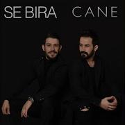Cane Se Bıra 2020
