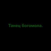 Техно Танец От Богомола
