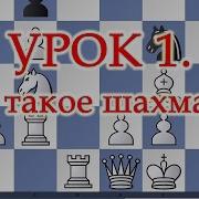 Шахматы Обучение
