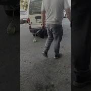 Чингиз Ольга Далбайоплар