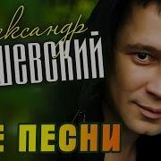 Закшевский Александр