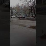 Стая Голубей Прикол Про Голубей