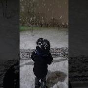Снег Идет Зимняя Погода
