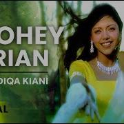 Boohey Bariyan Hadiqa Kiani