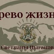 Светлана Цыгановой Древо Жизни 1 И 2 Ступень Посвящение