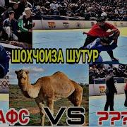Гуштин Дар Дехаи Дахнаи Шахри Кулоб 2018