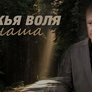 Юрий Стогниенко Проповеди 2024
